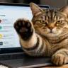 Cat Gatekeeper Chrome Extension